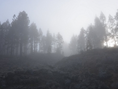 2013_01_23_18_24_46_matti_dsc_02291