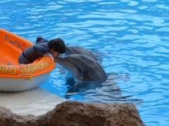 2013_01_24_16_09_18_matti_dsc_04801