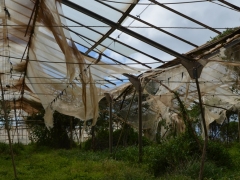 2013_01_27_14_41_56_matti_dsc_04521