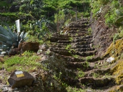 2013_01_28_14_39_22_matti_dsc_05831