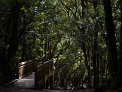 2013_01_28_15_54_20_matti_dsc_06021